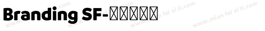 Branding SF字体转换